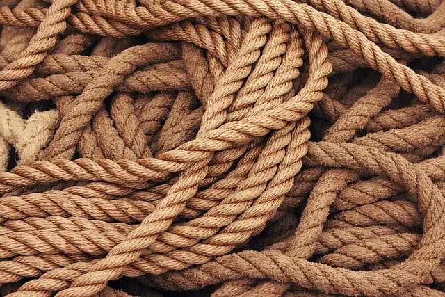 Comment optimiser votre patrimoine avec des placements durables