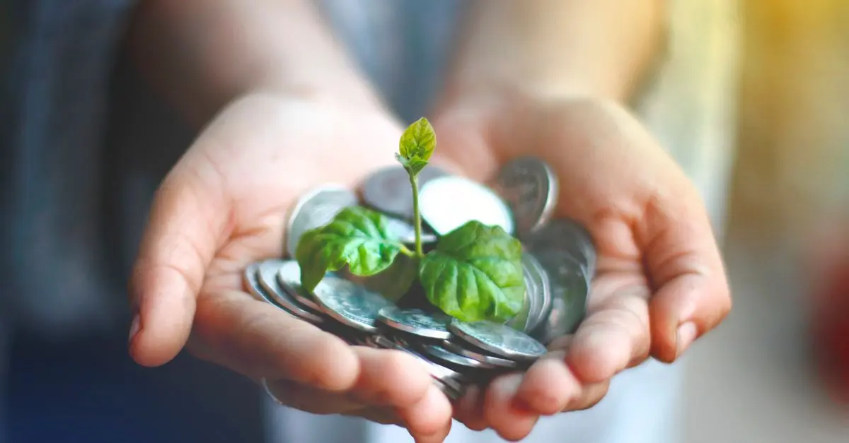 Patrimoine optimal : Comment choisir vos investissements éthiques