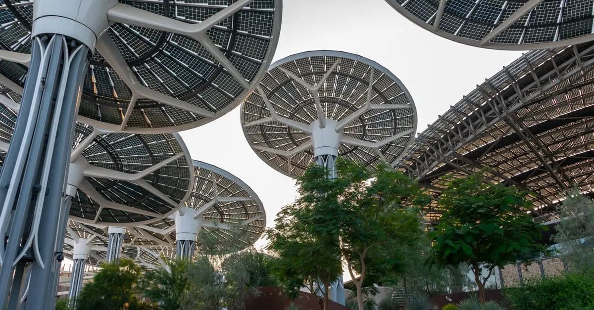 Pourquoi investir dans l'économie circulaire pour votre patrimoine ?