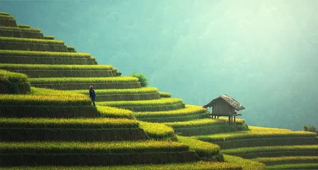 Investir dans l'économie circulaire : un choix stratégique pour votre patrimoine