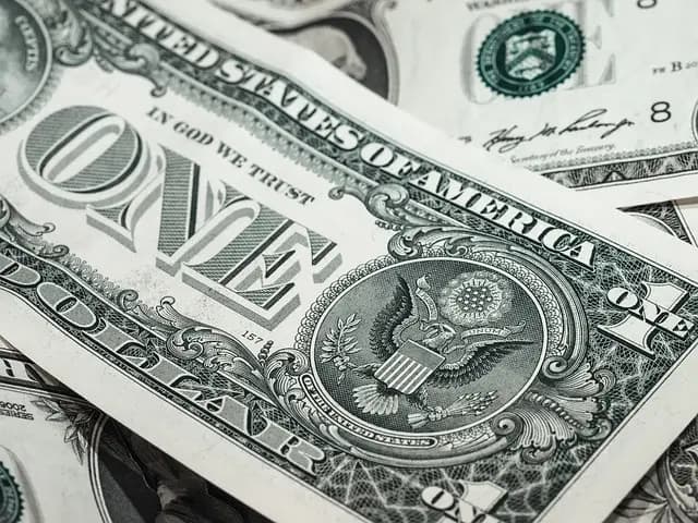 Les clés pour intégrer des investissements durables dans votre patrimoine